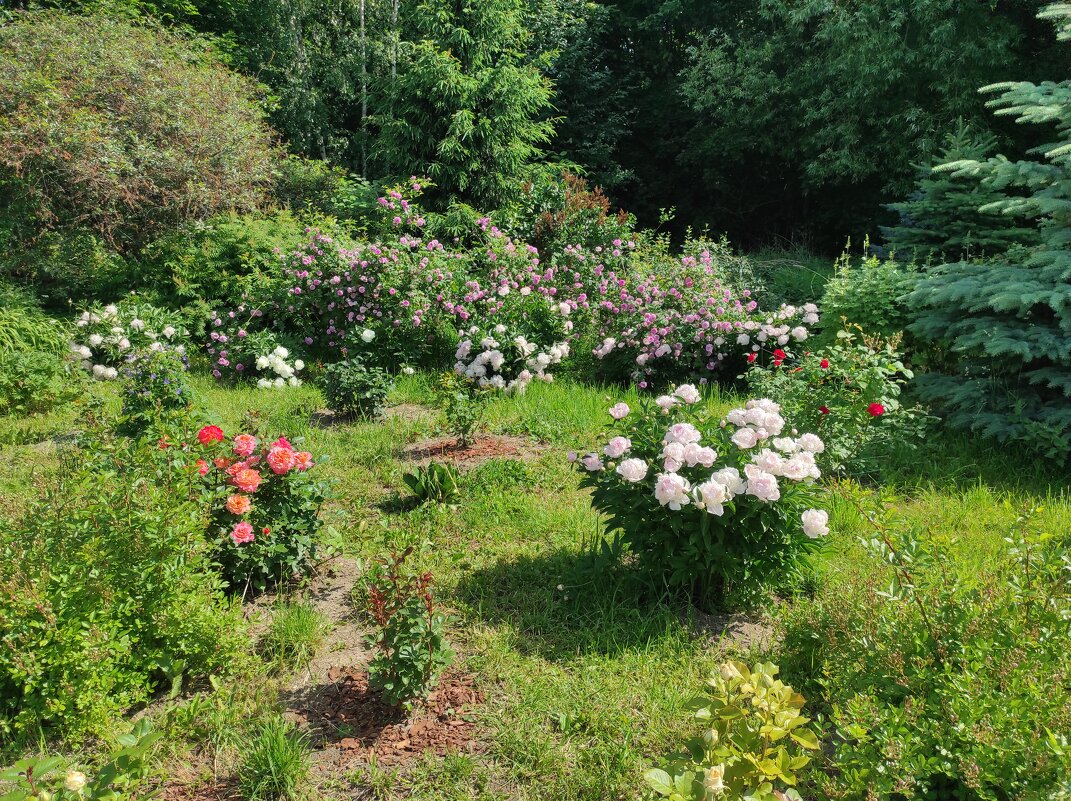 Цветник на территории храма - Игорь Ч. Цветник на территории храма - Игорь Ч.