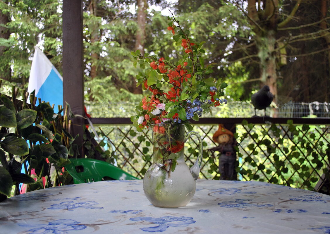 В июне - AleksSPb Лесниченко В июне - AleksSPb Лесниченко