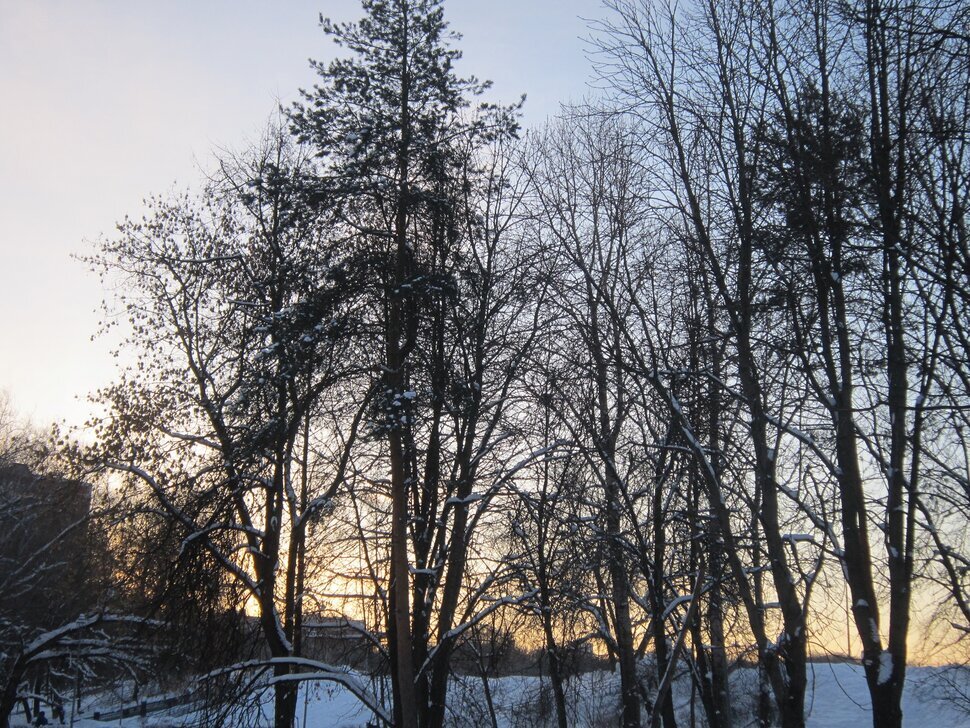 Февральское утро - Дмитрий Никитин