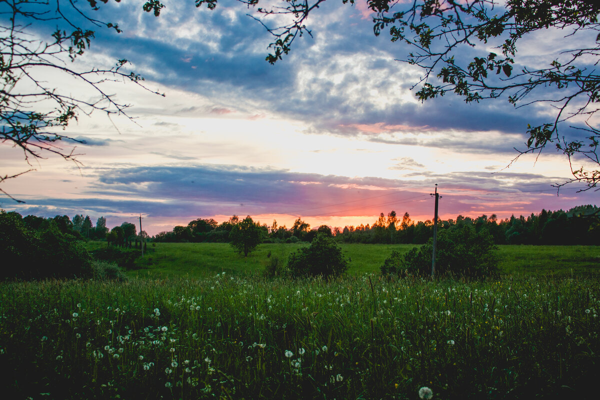 В деревне - Артем В деревне - Артем