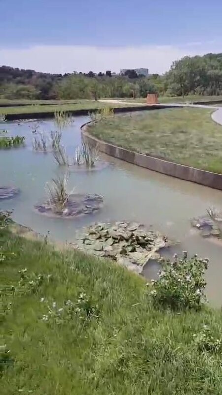 Ботанический сад - Ирэн Ботанический сад - Ирэн