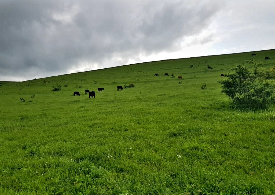 Путешествие по северному Кавказу - Tata Wolf