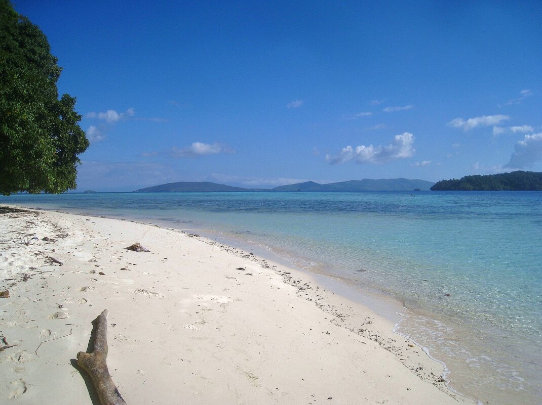 На острове Мансуар, в Индонезии. - unix (Илья Утропов)