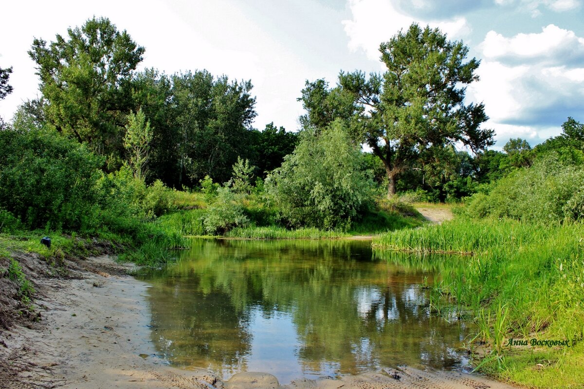 "Бабий переход" на речке Свинцовке. Самое мелкое место. - Восковых Анна Васильевна 