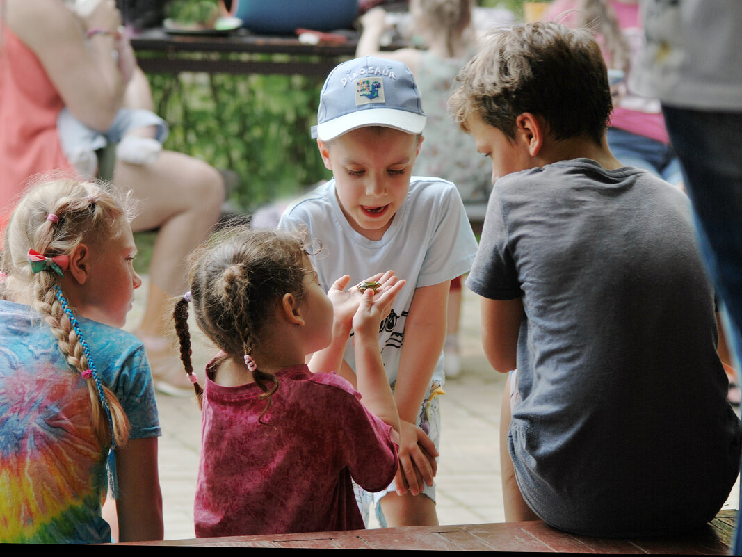 "Смотрите, какой лягушонок!" - Светлана Былинович