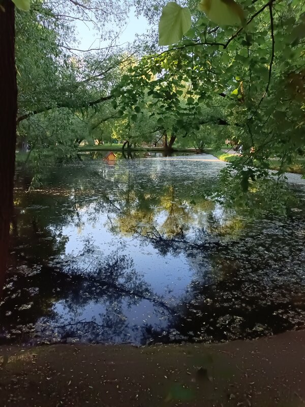 в парке - Галина R... в парке - Галина R...