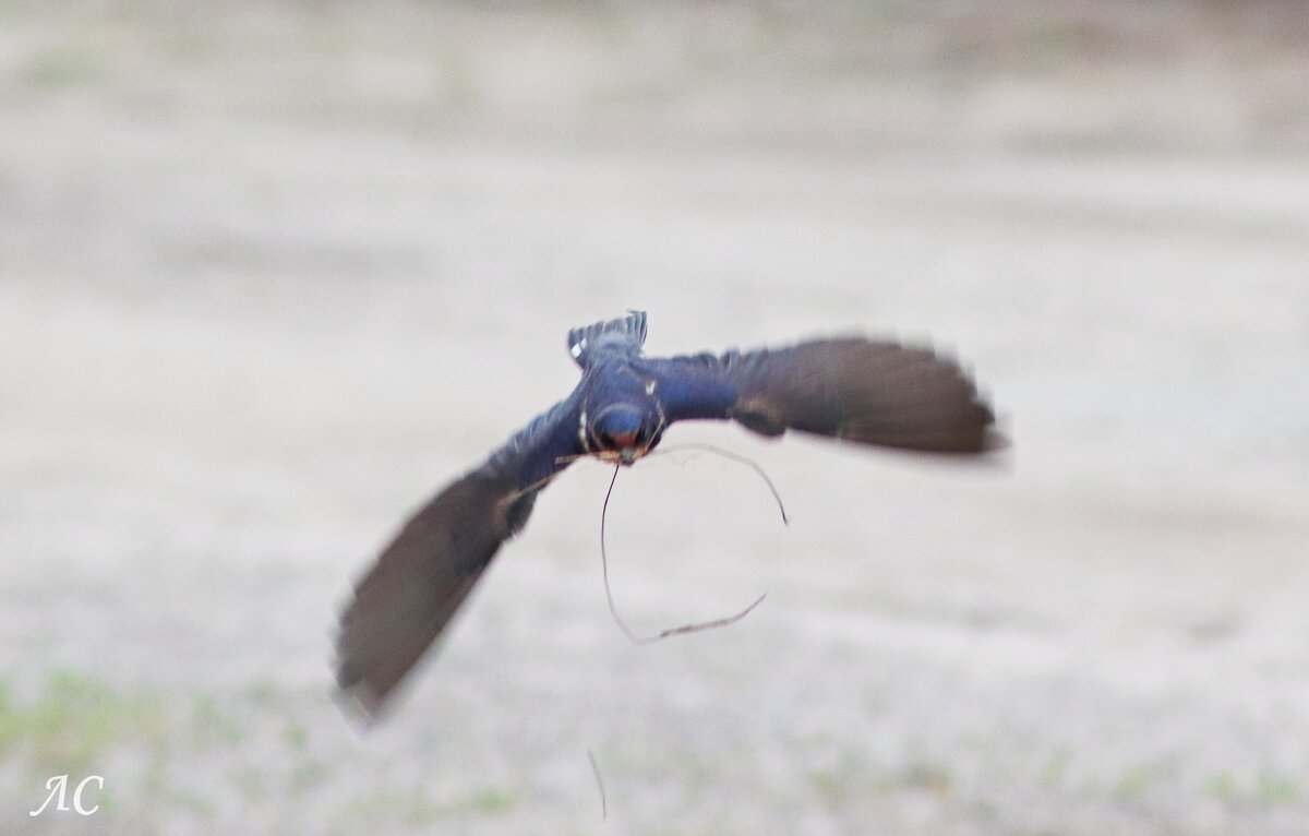 Своевременная доставка стройматериала - Любовь Сахарова Своевременная доставка стройматериала - Любовь Сахарова