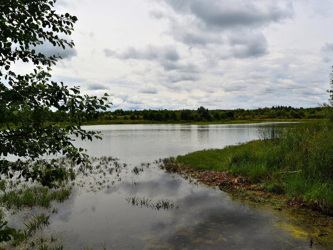 Ядрин. Центральная часть озера Сергач летним пасмурным днём. - Пётр Чернега Ядрин. Центральная часть озера Сергач летним пасмурным днём. - Пётр Чернега