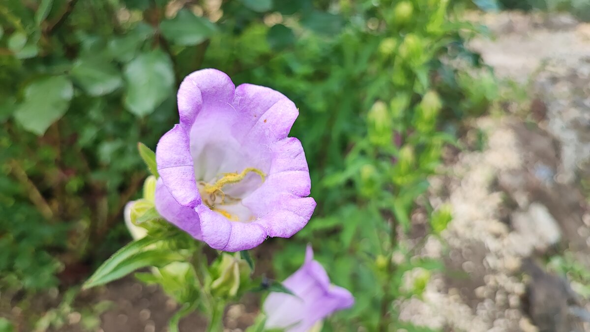 ,,, - Сергей Тимоновский