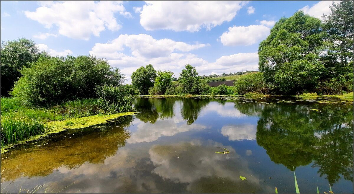 С днём РОССИИ ! - Сеня Белгородский