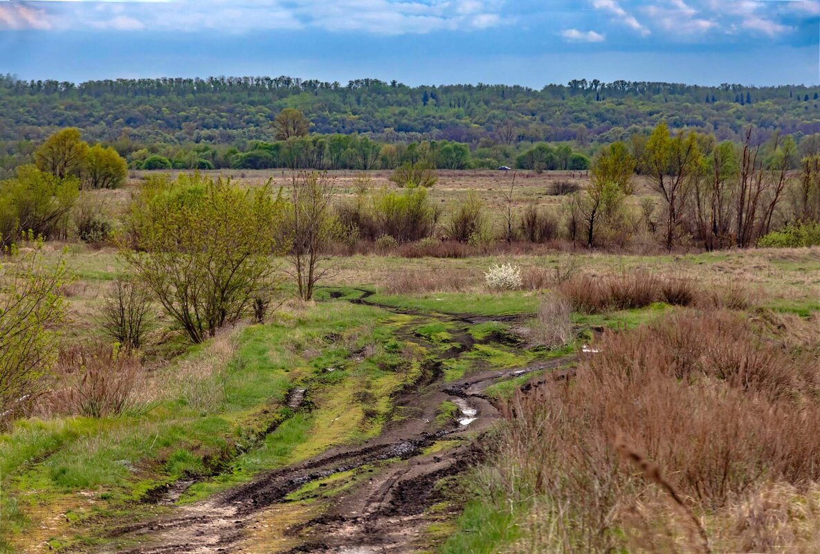 Прогулка по окрестностям - Юра Викулин