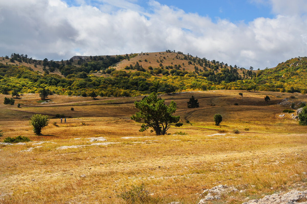 Осень на плато Ай-Петри. - Сергей Лысенко Осень на плато Ай-Петри. - Сергей Лысенко