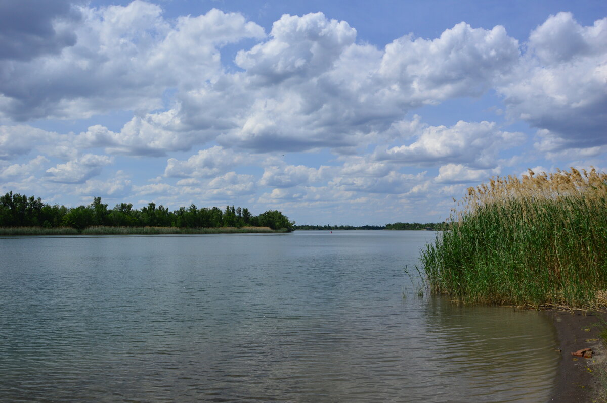 Местные виды. - Виктор 