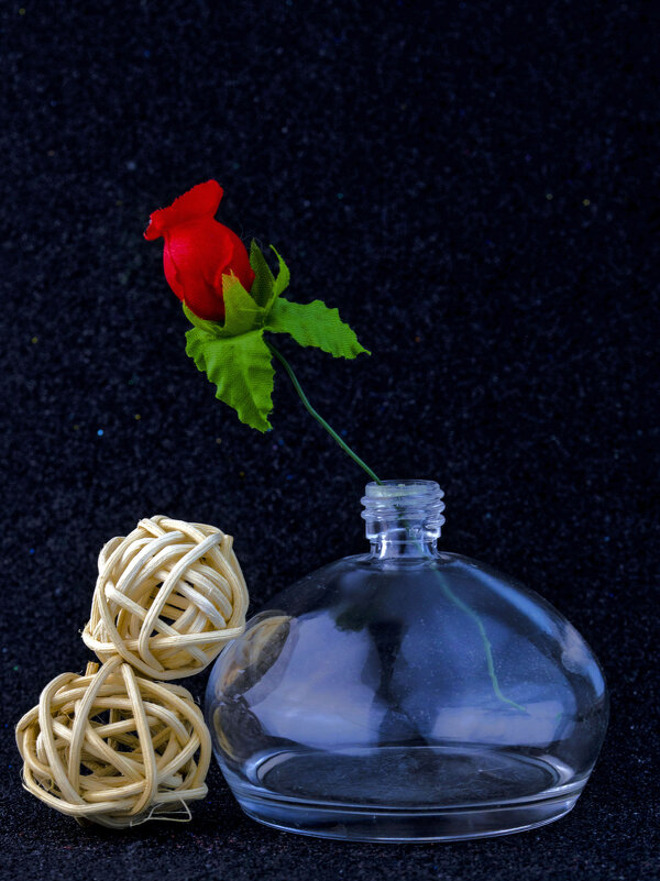 Одинокая Роза - Lyubov Busova