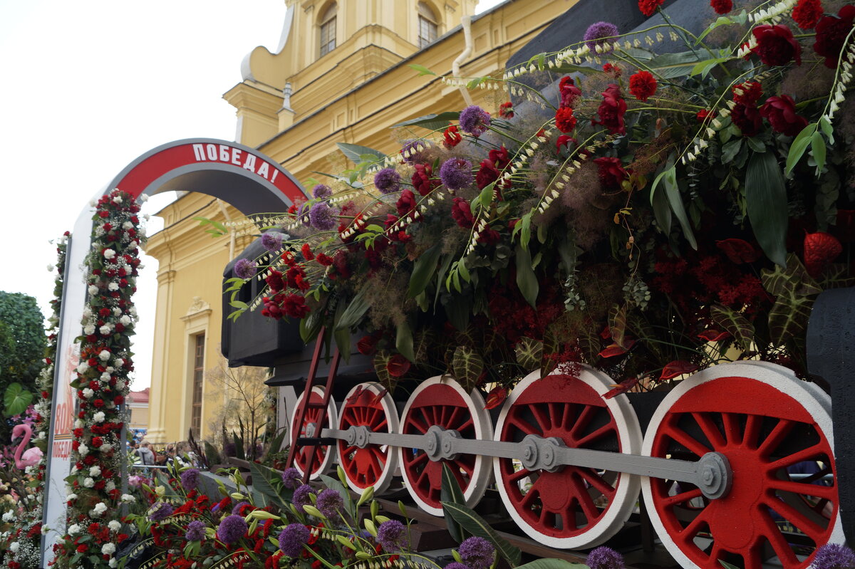 На фестивале живых цветов! - Anna-Sabina Anna-Sabina На фестивале живых цветов! - Anna-Sabina Anna-Sabina
