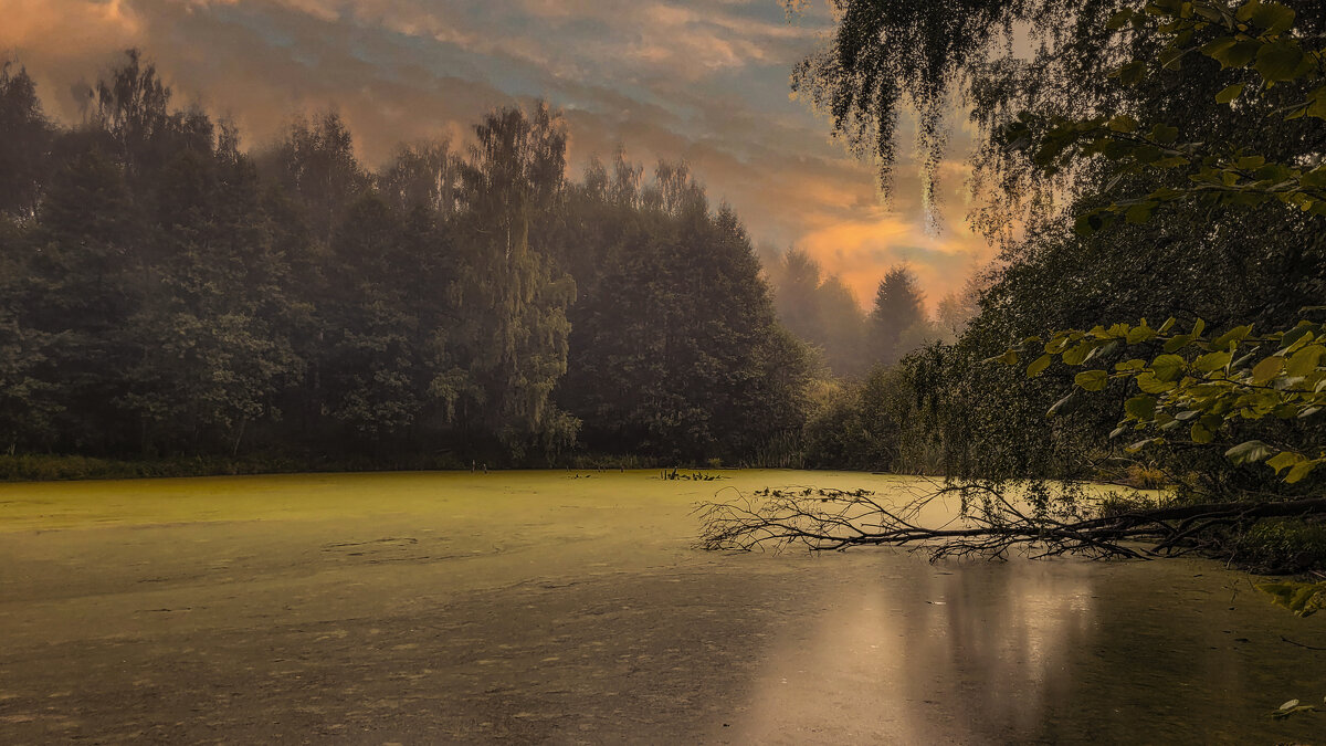 Утро прохладное,раннее. - Тамара Бучарская Утро прохладное,раннее. - Тамара Бучарская