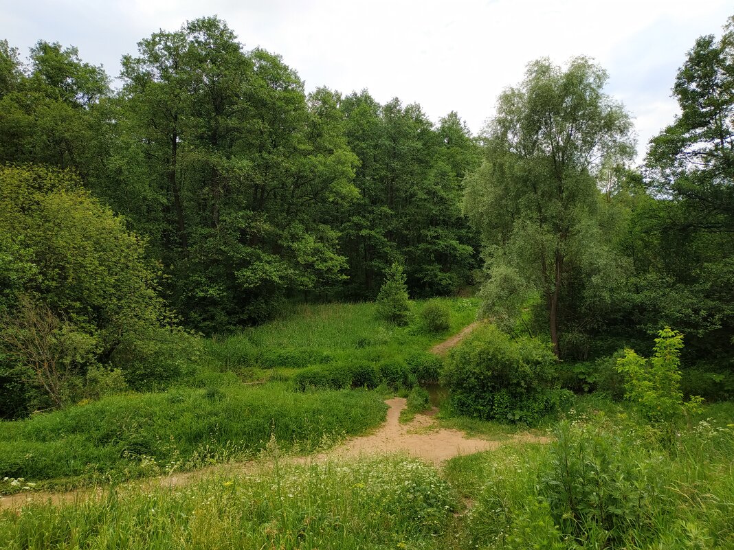 С Днем России! - Моя Россия. - Андрей Лукьянов С Днем России! - Моя Россия. - Андрей Лукьянов