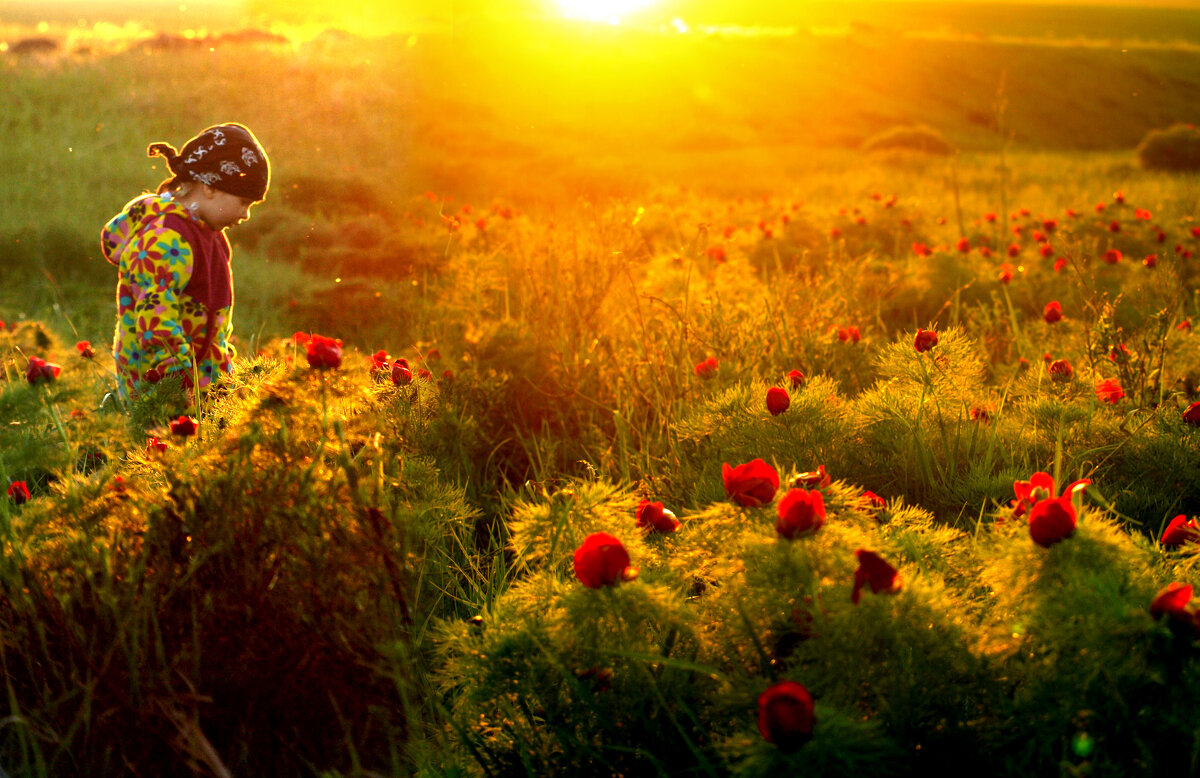 Лазоревая долина - СЮ Лазоревая долина - СЮ