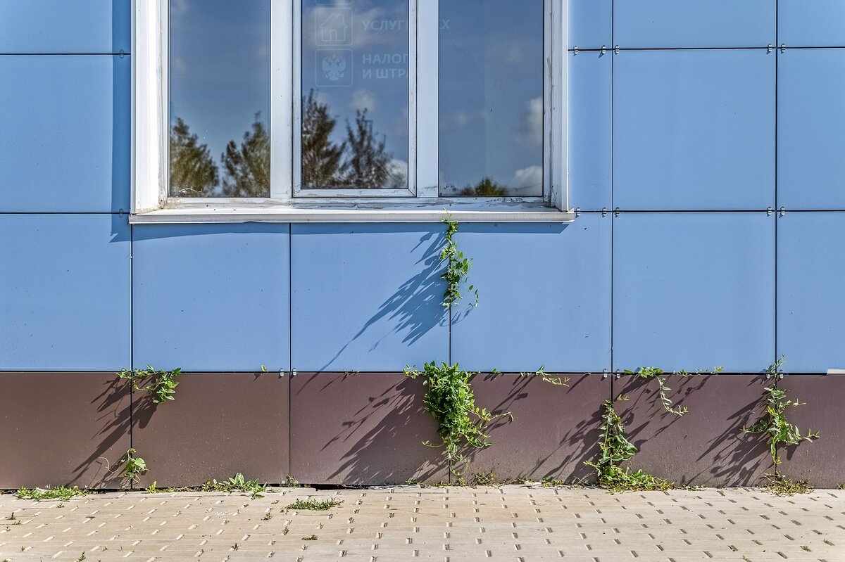 Природный интерьер - Валерий Иванович