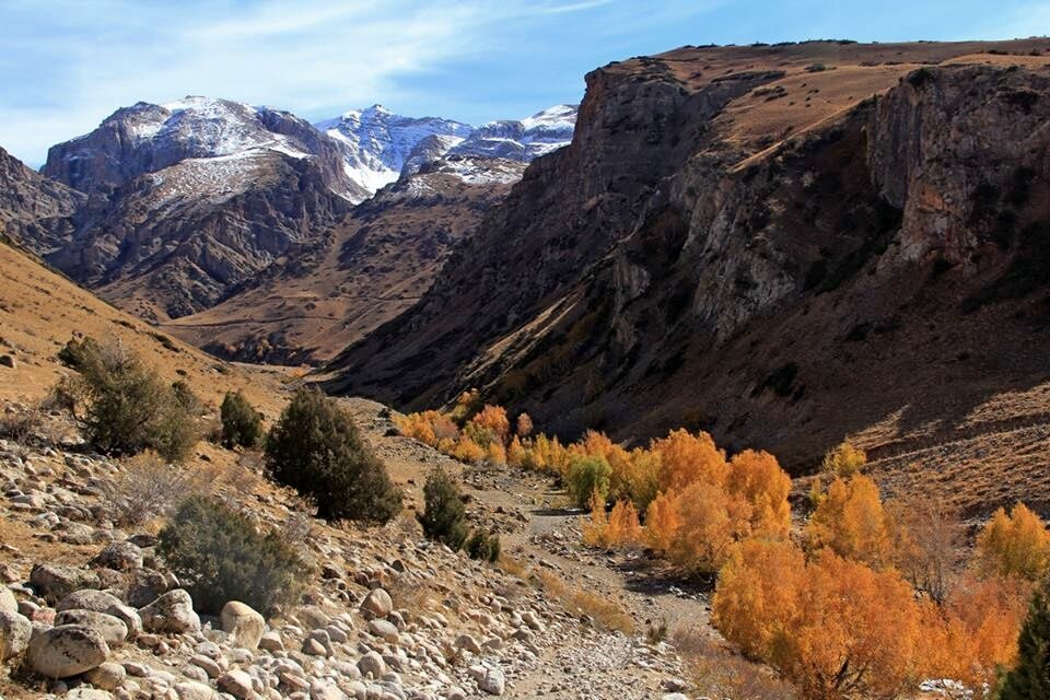 ПО ГОРАМ, осень. - Виктор Осипчук