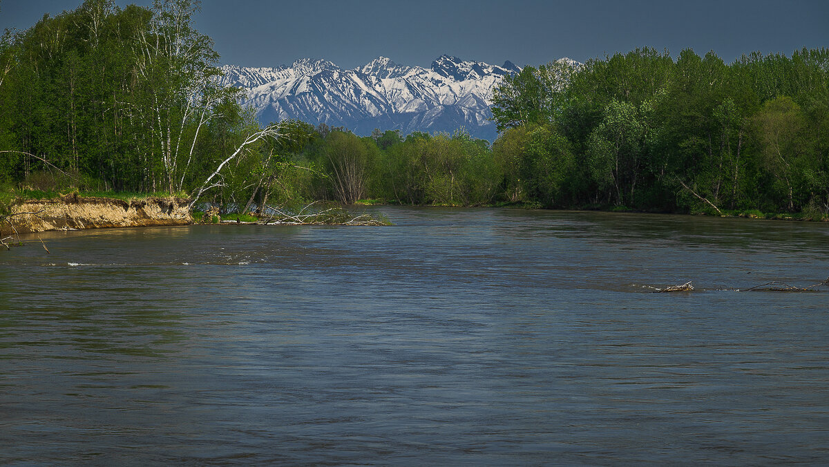... - Жора Житников ... - Жора Житников