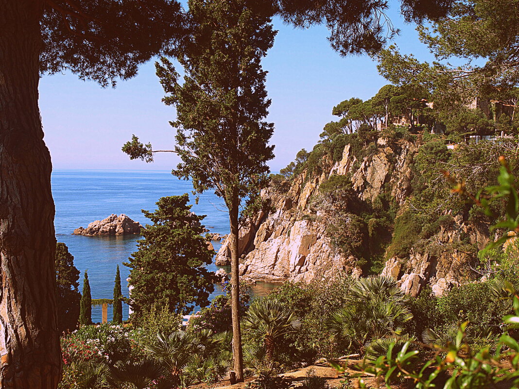 Барселона. - Владимир Драгунский Барселона. - Владимир Драгунский