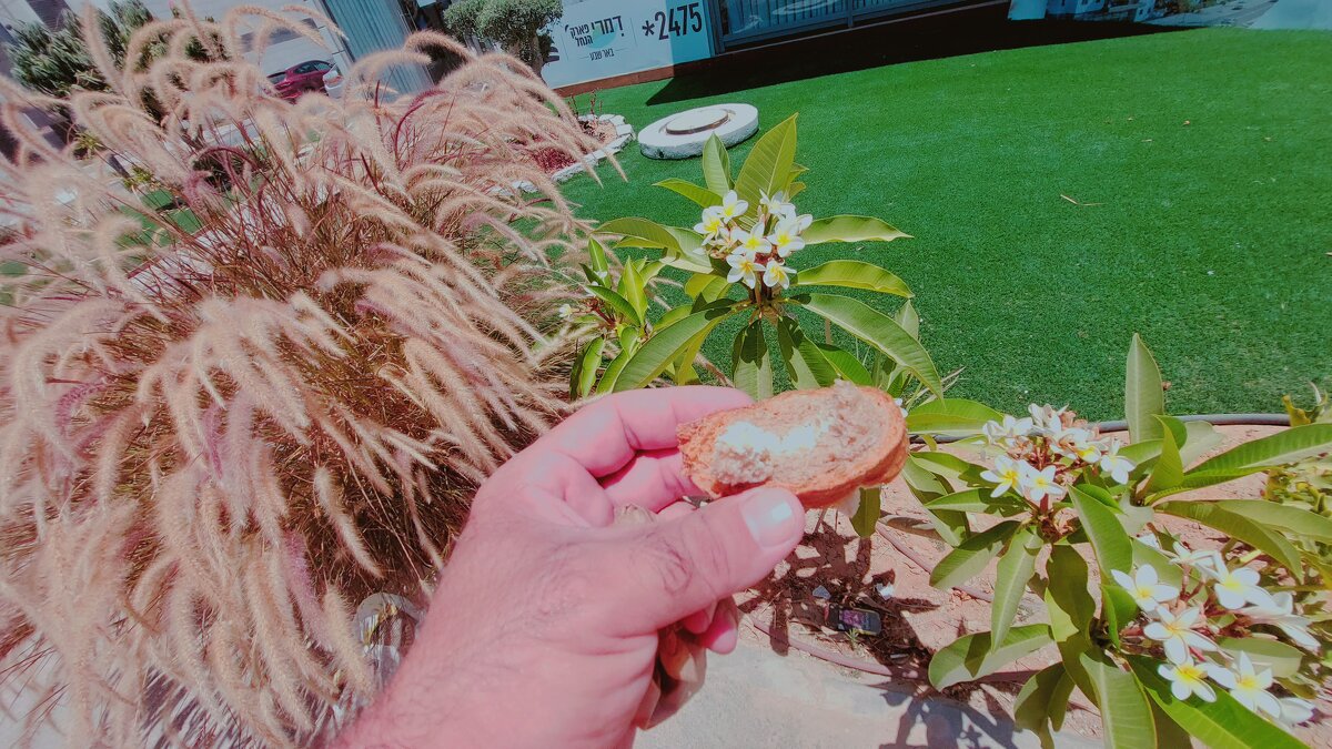 13  ОПЕН (117) - OPEN WAYS ALL