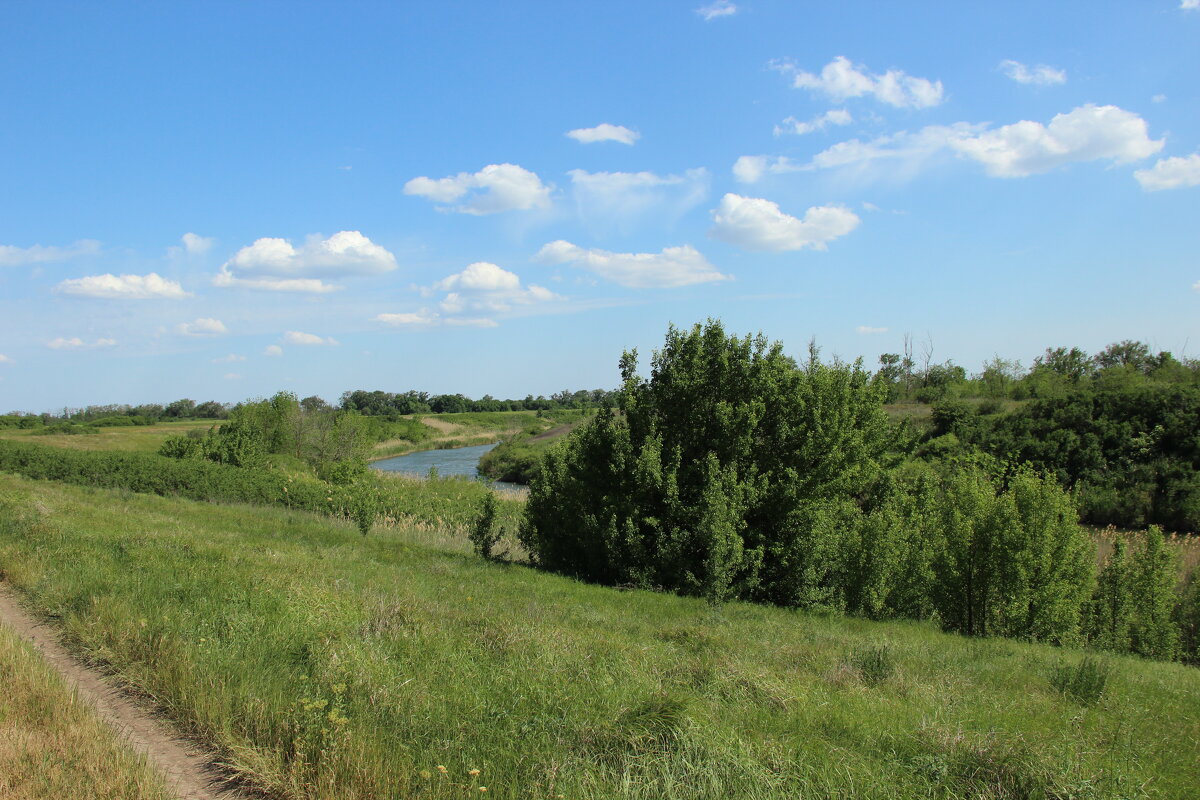 Местные виды. - Виктор 