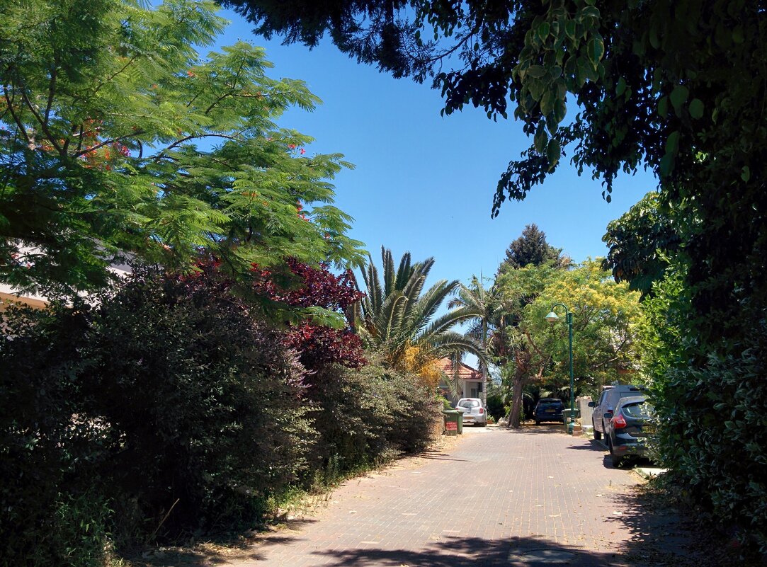 " - Светлана Хращевская