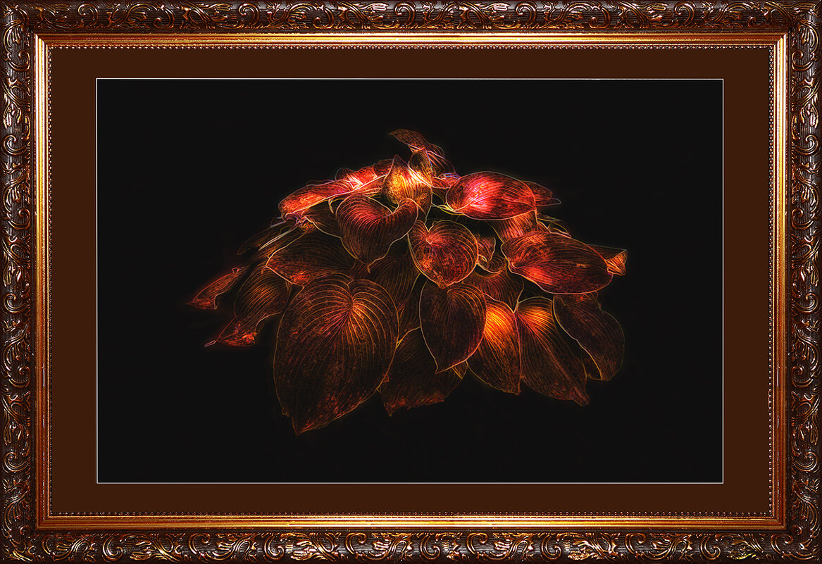 Ночь с фотошопом. - Николай Феофанов