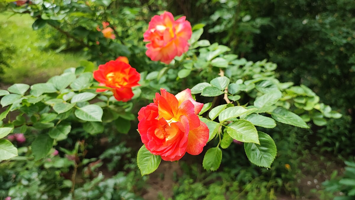 ,,, - Сергей Тимоновский ,,, - Сергей Тимоновский