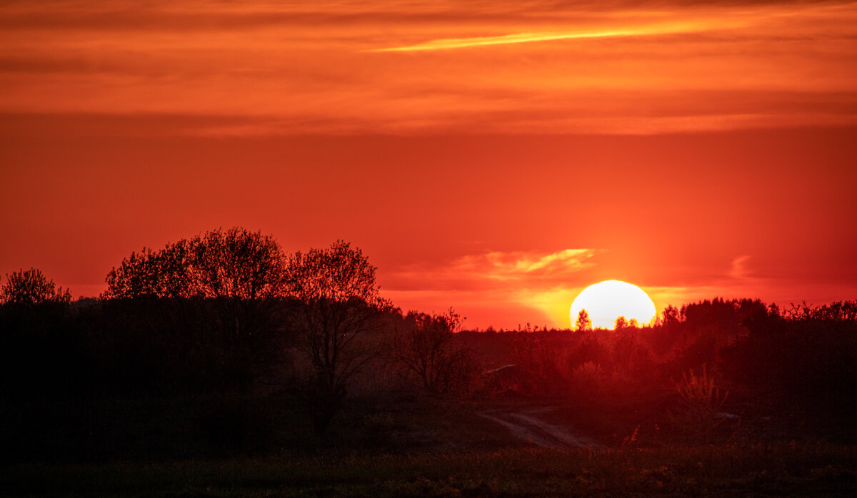 Продолжение - Sergei Vikulov Продолжение - Sergei Vikulov