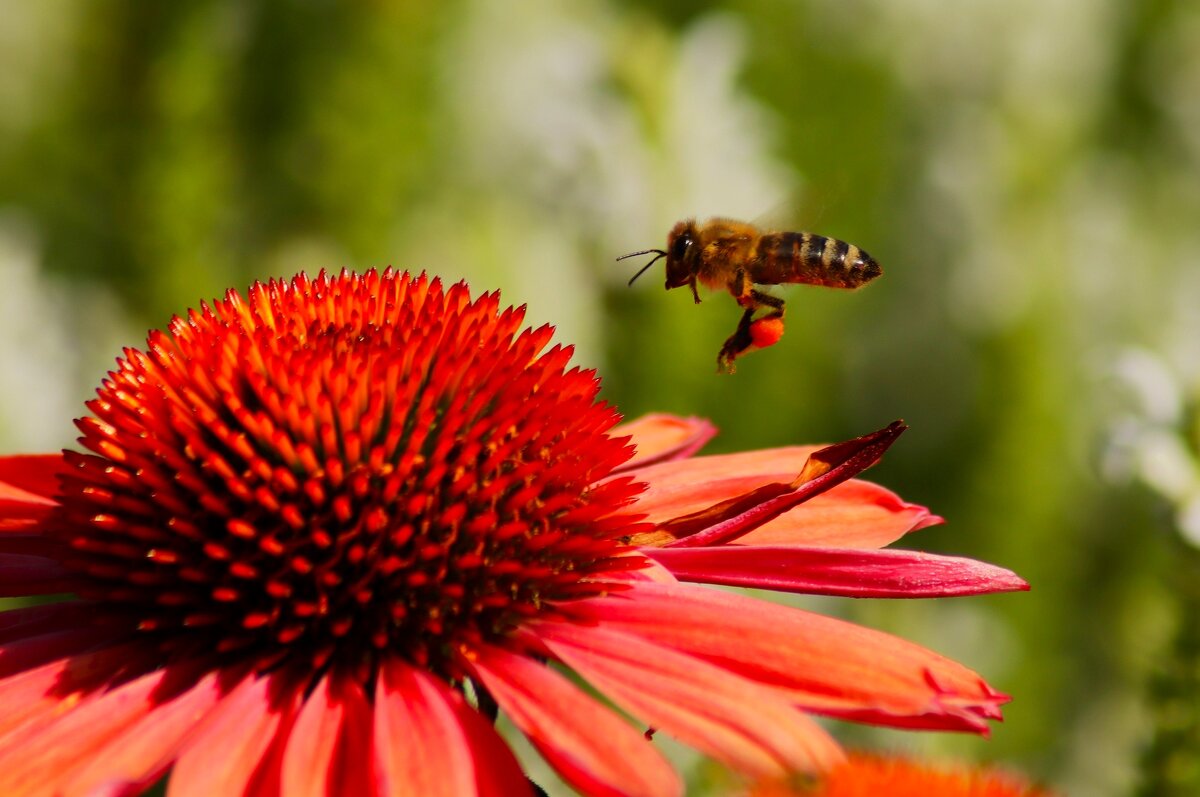 Утро - Юрий. Шмаков