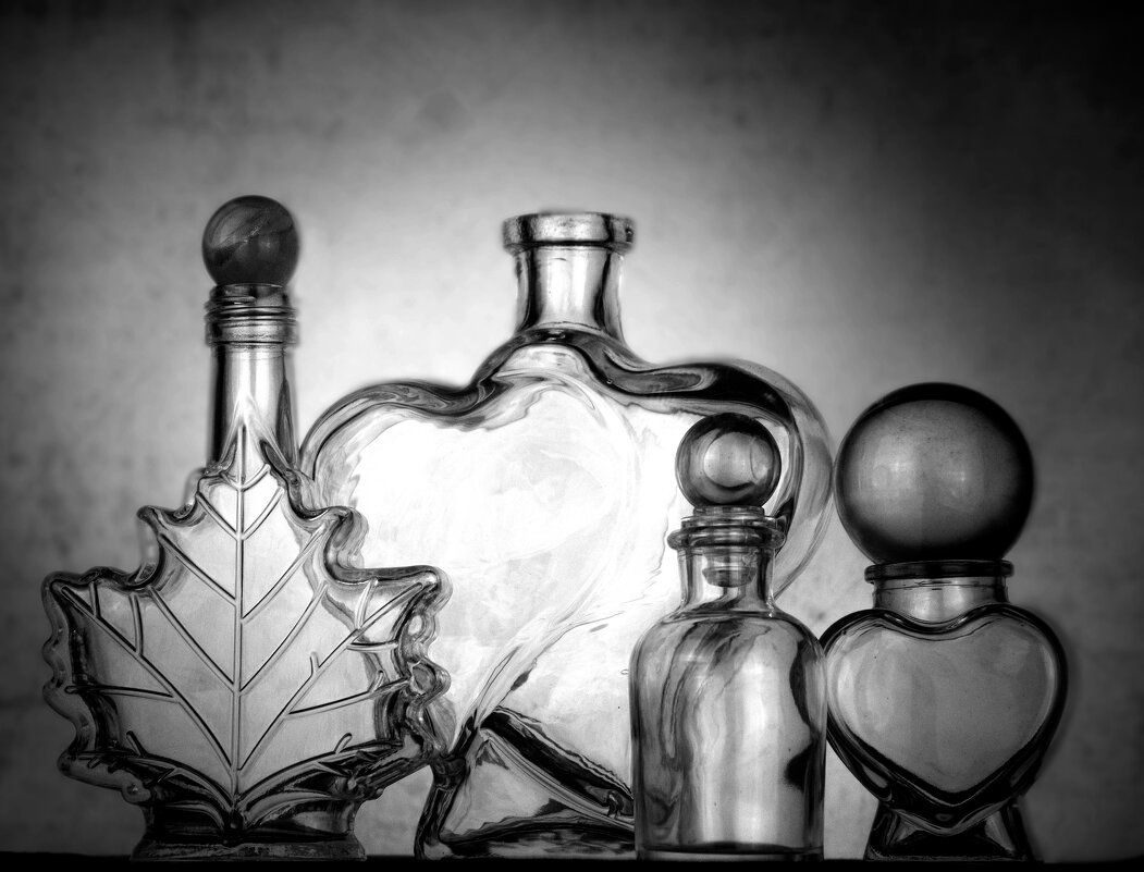 натюр в чб - Lyubov Busova