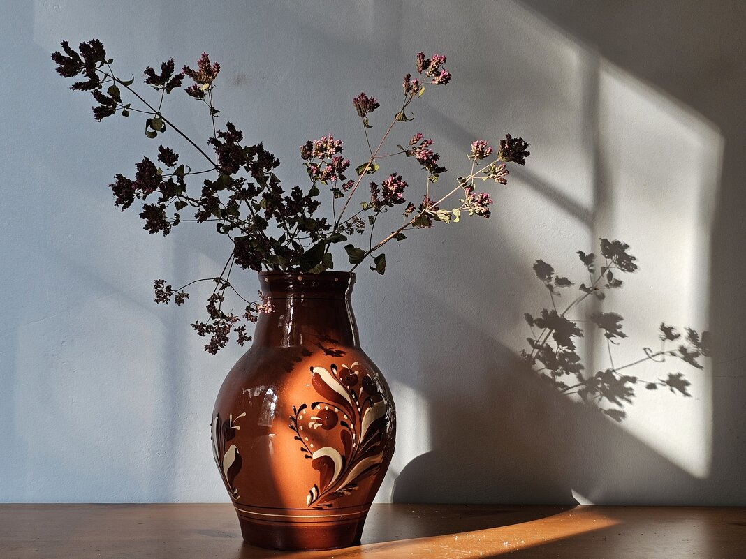 Причуды солнца. - Галина Левина