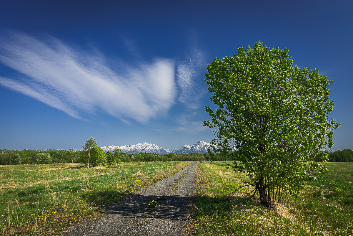 ... - Жора Житников ... - Жора Житников