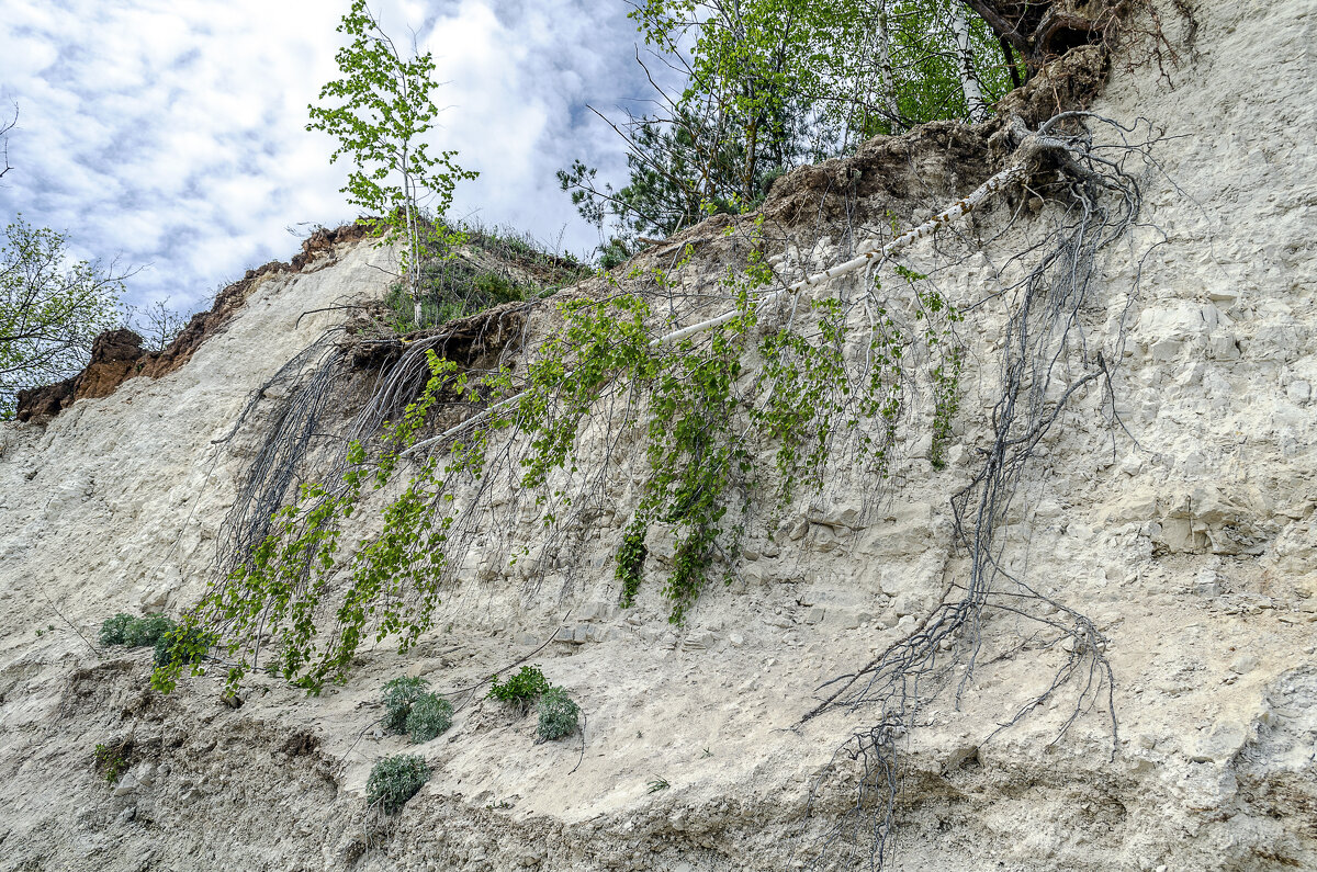 Стремление жить - Андрей Щетинин