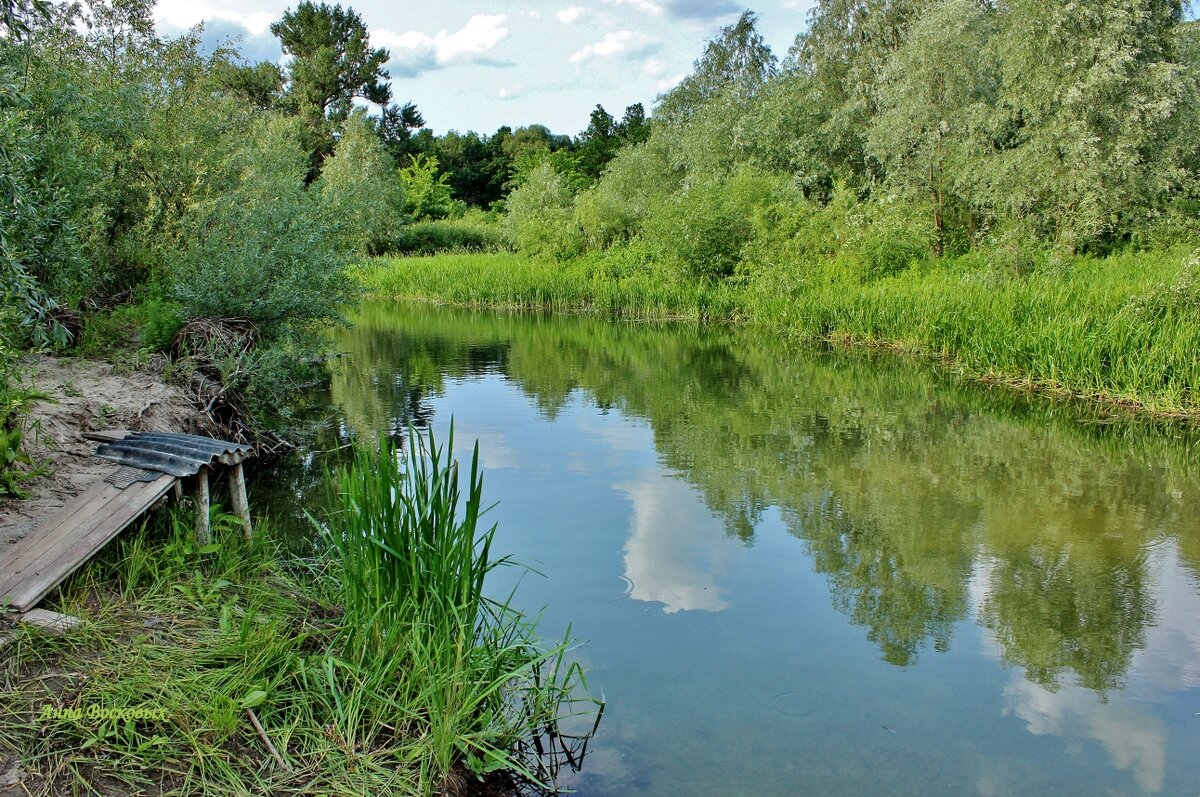 На родниковой речке Свинцовке. - Восковых Анна Васильевна 