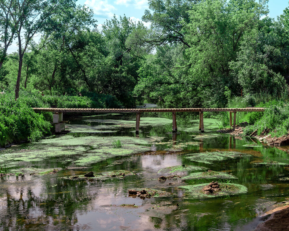 Зеленая река - Леонид Соснин Зеленая река - Леонид Соснин