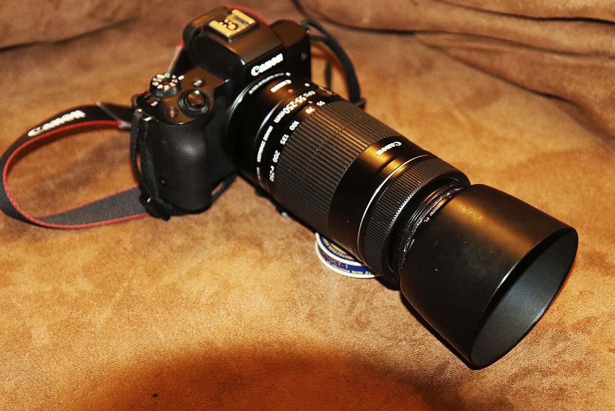 Мой фотоаппарат Canon EOS M50 IS STM, черный,   с телеобъективом Canon EF-S 55-250mm f/4-5.6 IS II - Владимир 