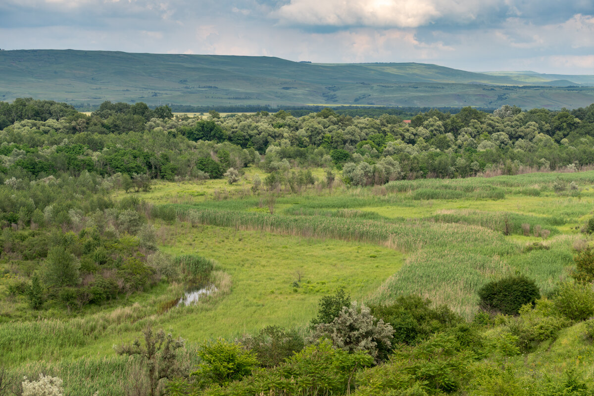 Краснодарский край - Игорь Сикорский