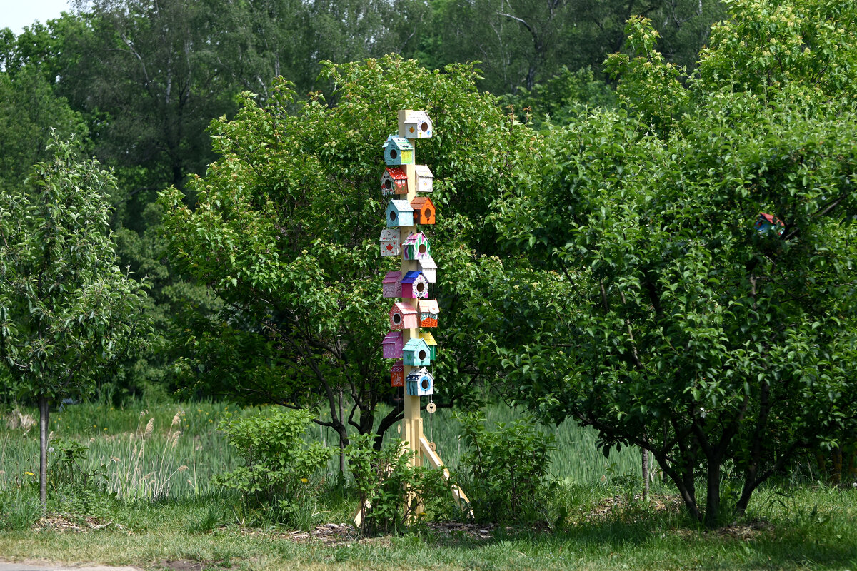 Весна в Ботаническом... - Наташа *****