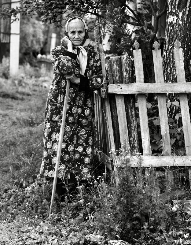 Фая осталась одна - СЮ 