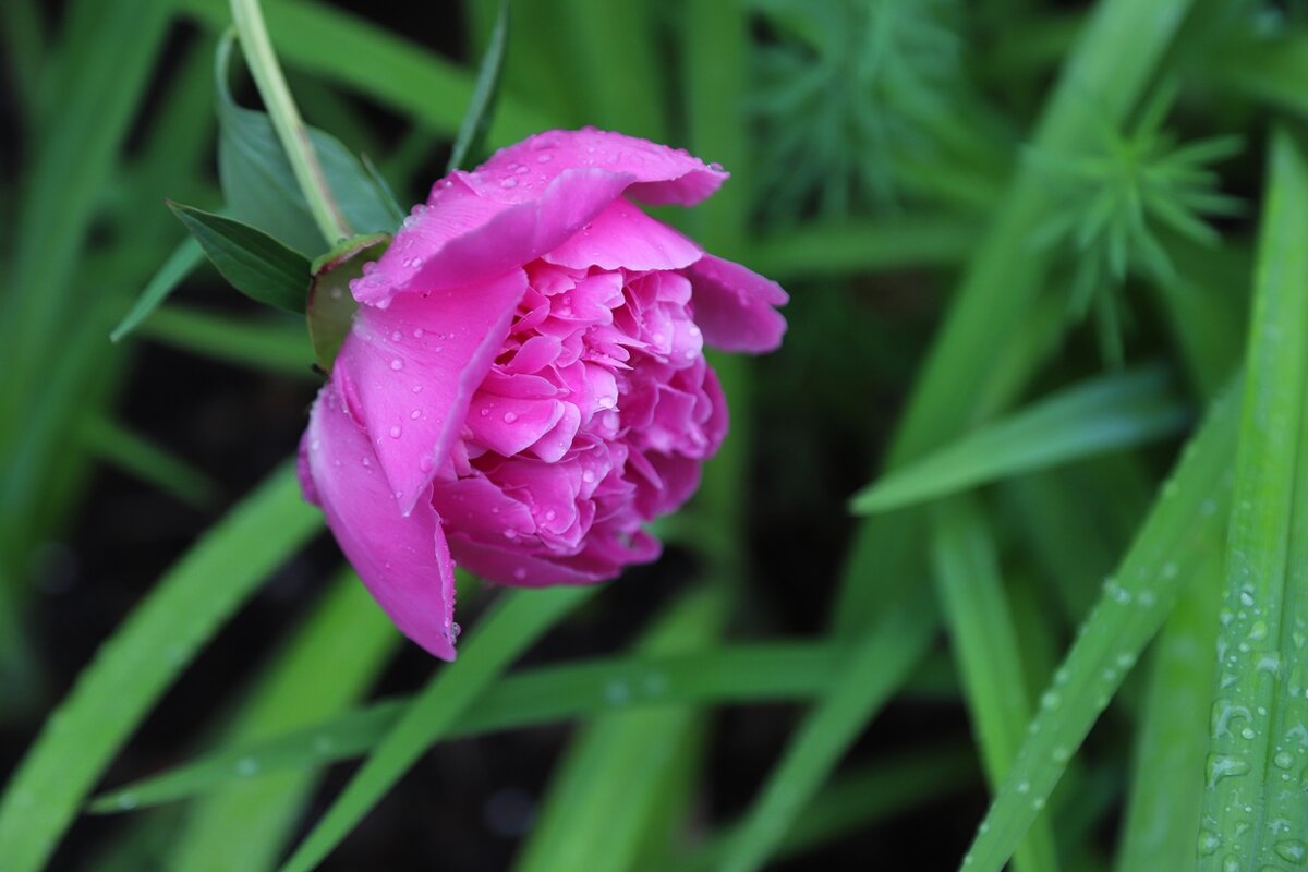 .... - Владимир иванов