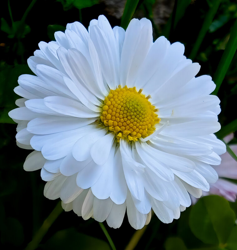 ... - Станислав Мутовин