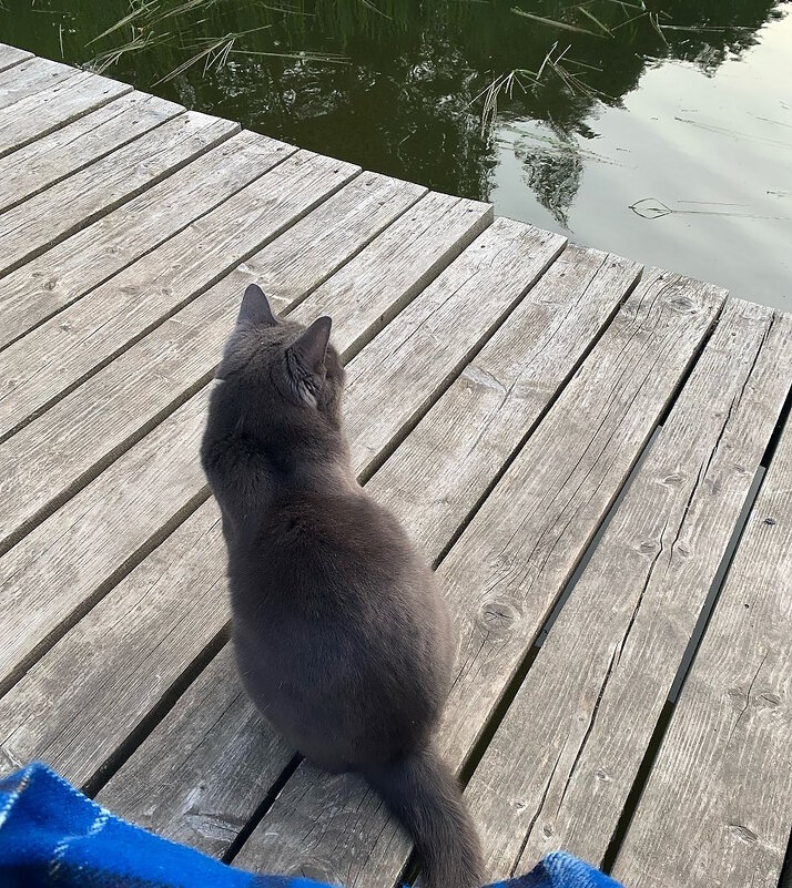 На посту - Ольга Довженко