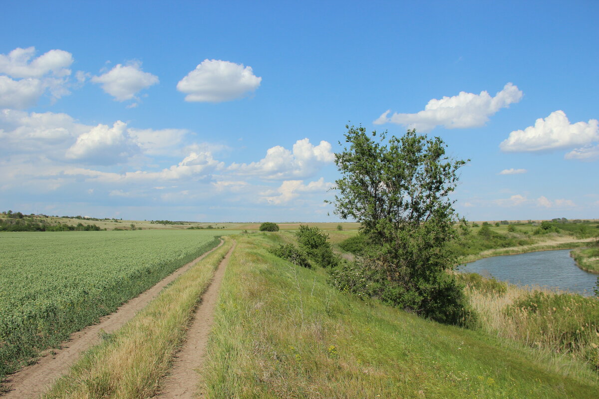 У реки. - Виктор 