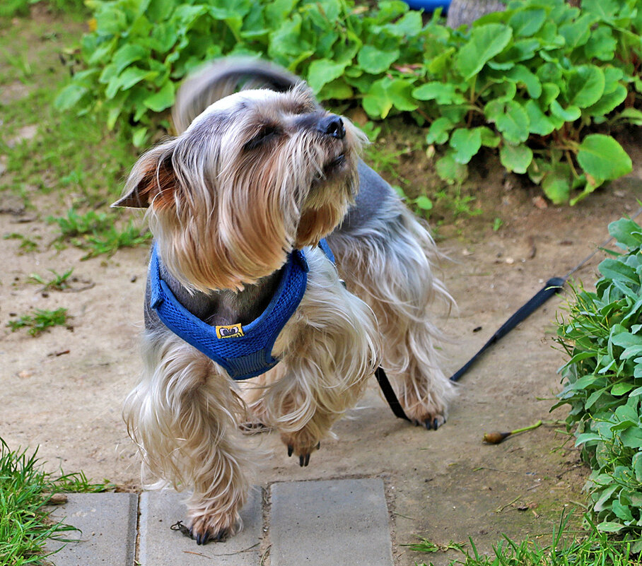 Что-то там интересное! - Светлана 