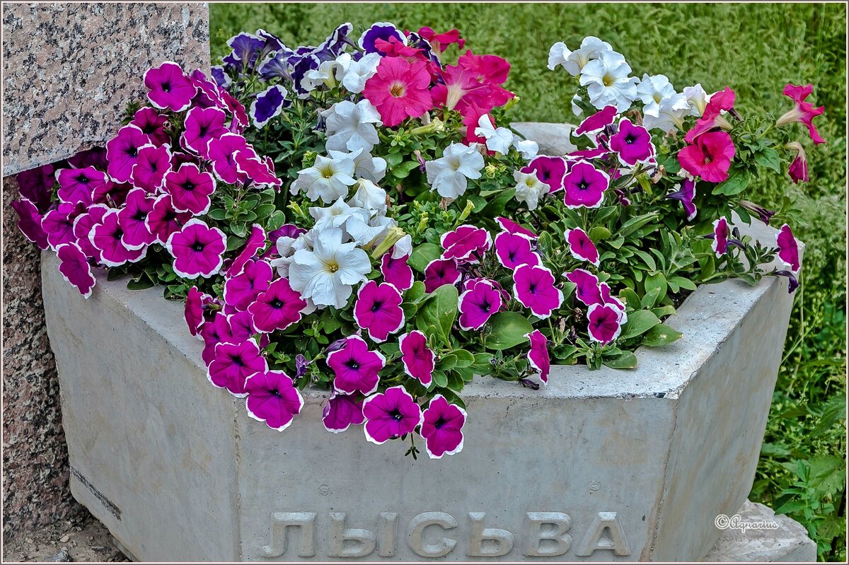 Июнь... - Aquarius - Сергей Июнь... - Aquarius - Сергей