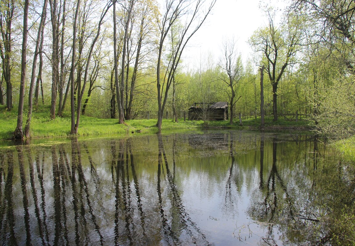 Стрельна. Орловский парк - Наталья Герасимова